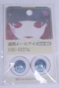 22mm/アニメアイ/ドール用　アイ A-26-04-01-075-NY-ZA