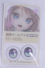 22mm/アニメアイ/ドール用　アイ A-26-04-01-073-NY-ZA