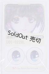 22mm/アニメアイ/ドール用　アイ A-26-04-01-004-NY-ZA