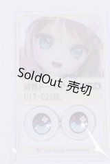 22mm/アニメアイ/ドール用　アイ A-26-04-01-012-NY-ZA