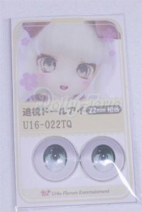 22mm/アニメアイ/ドール用　アイ A-26-04-01-003-NY-ZA