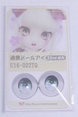 22mm/アニメアイ/ドール用　アイ A-26-03-25-100-NY-ZA