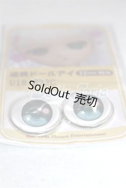 画像2: 22mm/アニメアイ/ドール用　アイ A-26-04-15-026-NY-ZA