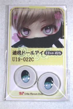 画像1: 22mm/アニメアイ/ドール用　アイ A-26-04-15-012-NY-ZA