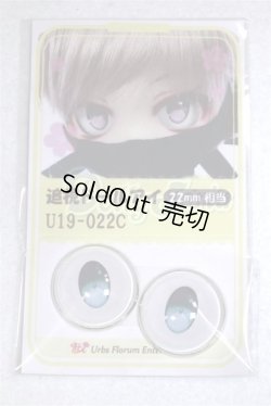 画像1: 22mm/アニメアイ/ドール用　アイ A-26-04-15-012-NY-ZA