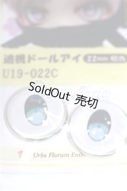 画像2: 22mm/アニメアイ/ドール用　アイ A-26-04-15-012-NY-ZA