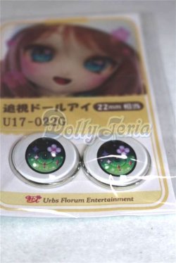 画像2: 22mm/アニメアイ/ドール用　アイ A-26-04-15-042-NY-ZA