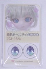 22mm/アニメアイ/ドール用　アイ A-26-04-01-084-NY-ZA