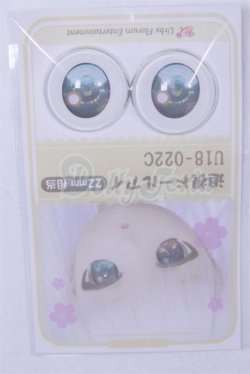 画像1: 22mm/アニメアイ/ A-26-04-01-053-NY-ZA