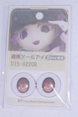 画像1: 22mm/アニメアイ/ドール用　アイ A-26-04-01-058-NY-ZA