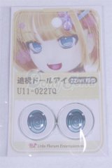 22mm/アニメアイ/ドール用　アイ A-26-04-01-043-NY-ZA