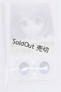 22mm/アニメアイ/ドール用　アイ A-26-04-01-029-NY-ZA