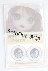 22mm/アニメアイ/ドール用　アイ A-26-04-15-016-NY-ZA