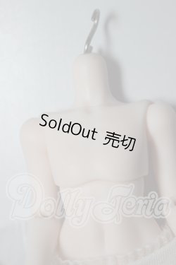 画像3: 1/12サイズ/ボディ A-26-03-11-121-NY-ZA