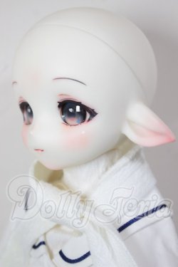 画像4: Sprouting Dragon/Big Zilu A-26-03-11-104-NY-ZA