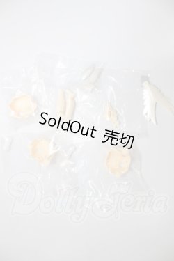 画像2: 秘境巡礼/パーツ A-26-03-11-233-NY-ZA