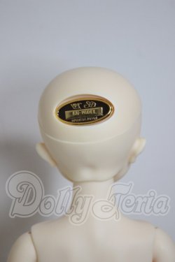 画像4: SDM/コーディネートモデル：F54 A-26-03-11-301-NY-ZA