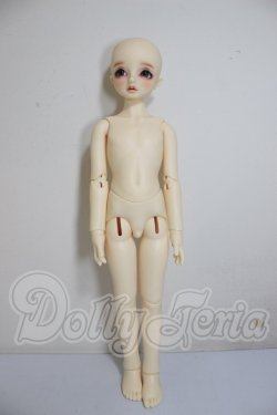 画像5: SDM/コーディネートモデル：F54 A-26-03-11-301-NY-ZA