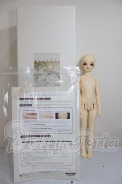 画像7: SDM/コーディネートモデル：F54 A-26-03-11-301-NY-ZA