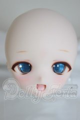 DD/DDH-01 カスタムヘッド A-26-03-11-303-NY-ZA