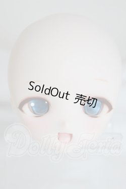 画像1: DD/DDH-01 カスタムヘッド A-26-03-11-303-NY-ZA