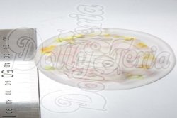 画像2: MDD/タコのカルパッチョ A-26-03-11-396-NY-ZA