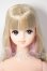画像1: リカちゃんキャッスル/おたのしみドール　JフレンドH A-26-03-11-352-NY-ZA (1)