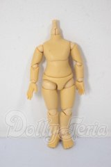 PICCODO/約10ｃｍサイズボディ A-26-03-18-333-NY-ZA