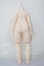 画像2: imomodoll/1/4 Girl Body (肉肉 Ver.2) A-26-03-18-205-NY-ZA (2)