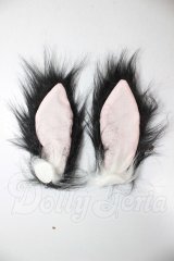 MDD/OF:小物 A-26-04-01-384-NY-ZA