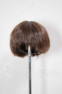 画像1: 6inch/ウィッグ A-26-04-08-195-NY-ZA