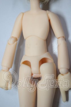 画像4: ピコニーモDボディ/カスタムヘッド A-26-03-18-105-NY-ZA