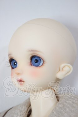 画像2: SDM/コーディネートモデル:F-60男の子 A-26-03-18-151-NY-ZA