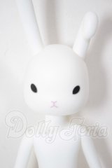 petworks/うさぎぃ001 A-26-04-01-248-NY-ZA