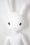 画像1: petworks/うさぎぃ001 A-26-04-01-248-NY-ZA (1)
