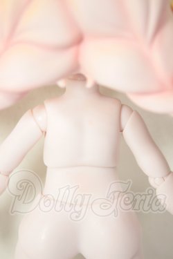 画像4: 砕星の軌跡/ビンテージトレジャー　エリア A-26-03-18-296-NY-ZA