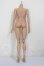 画像2: coralreefdoll/ドール用ボディ 1/4サイズ魔女体  A-26-03-25-132-NY-ZA (2)