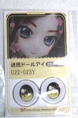 22mm/アニメアイ/ドール用　アイ A-26-04-29-003-NY-ZA