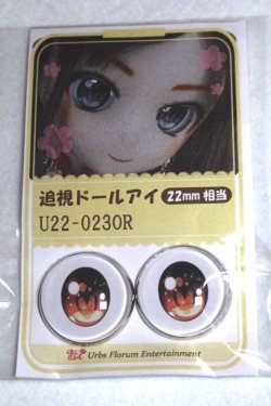 画像1: 22mm/アニメアイ/ドール用　アイ A-26-04-29-008-NY-ZA