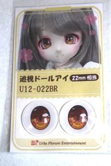 22mm/アニメアイ/ドール用　アイ A-26-04-29-005-NY-ZA