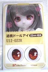 22mm/アニメアイ/ドール用　アイ A-26-04-29-010-NY-ZA