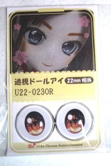 22mm/アニメアイ/ドール用　アイ A-26-04-29-027-NY-ZA
