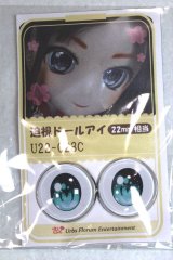 22mm/アニメアイ/ドール用　アイ A-26-04-29-098-NY-ZA