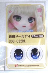 22mm/アニメアイ/ドール用　アイ A-26-04-29-064-NY-ZA