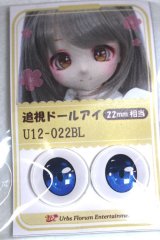 22mm/アニメアイ/ドール用　アイ A-26-04-29-070-NY-ZA