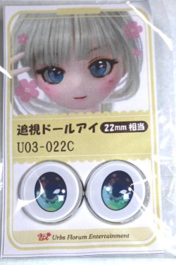 画像1: 22mm/アニメアイ/ドール用　アイ A-26-04-29-078-NY-ZA