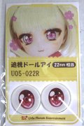 22mm/アニメアイ A-26-06-02-100-NY-ZA