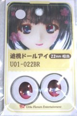 22mm/アニメアイ A-26-06-02-087-NY-ZA