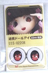 22mm/アニメアイ A-26-06-02-083-NY-ZA