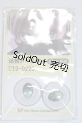 22mm/アニメアイ/ドール用　アイ A-26-04-29-043-NY-ZA